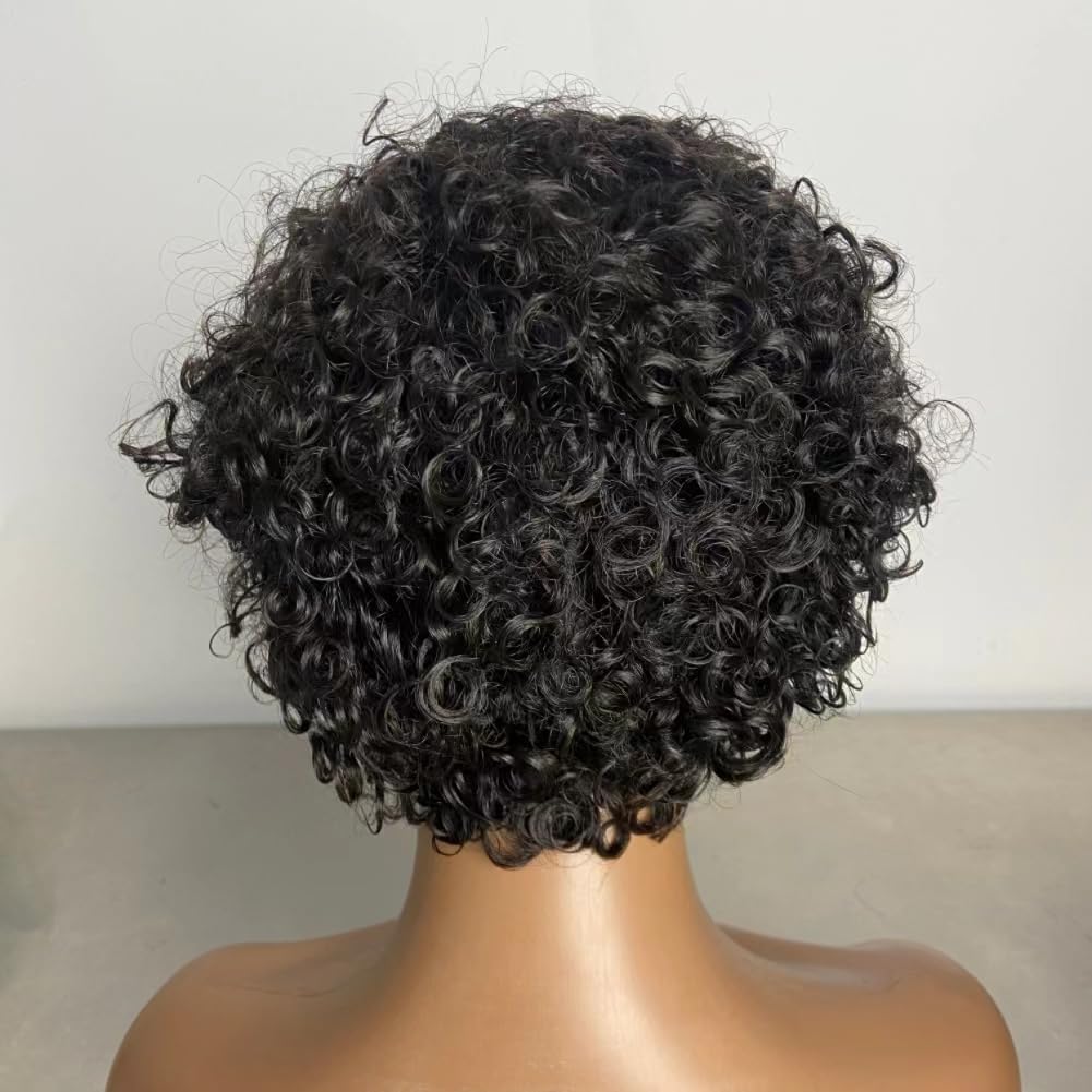 Short Curly Human Hair Wigs for Black Women, Side Part Wig, Pixie Cut Brazilian Remy Human Hair, Deep Curly None Lace Front Ombre Blonde Wigs